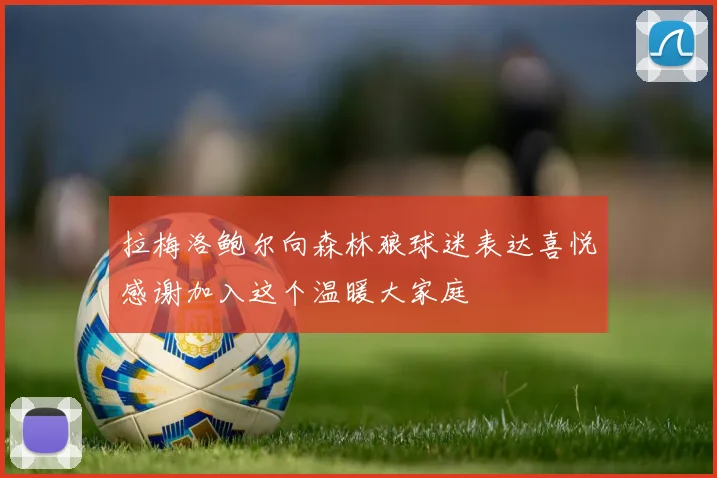 拉梅洛鲍尔向森林狼球迷表达喜悦感谢加入这个温暖大家庭